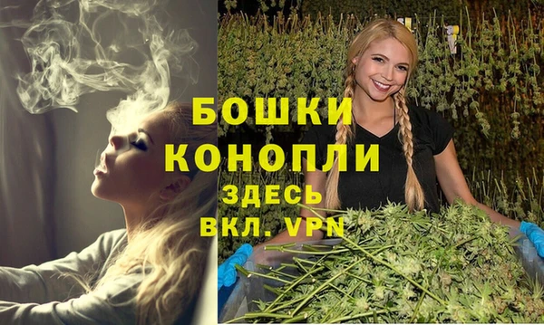 2c-b Коряжма